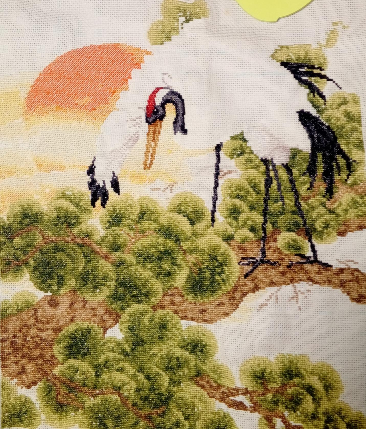 Изображение к отзыву Елена Горохова